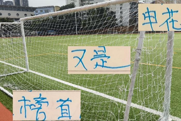 法甲